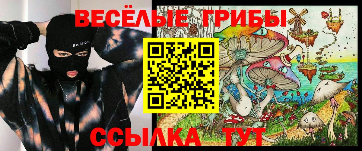 Псилоцибиновые грибы Psilocybine cubensis  Вход с VPN  Рузаевка 